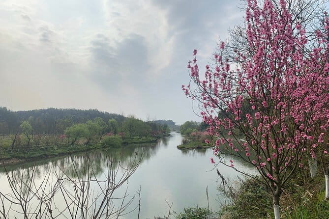 Private Day Tour to Taohuayuan National Park from Changsha - An In-Depth Look at the Taohuayuan Experience