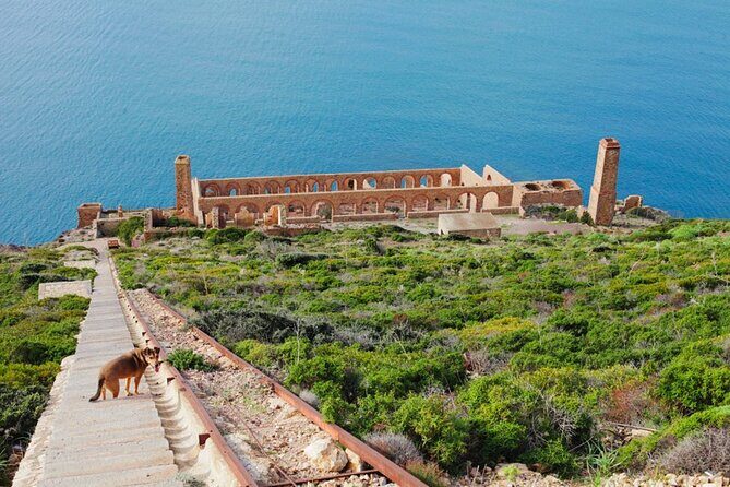 Private Day Tour to the Mines on the Iglesiente Sea - Authentic Feedback from Past Travelers