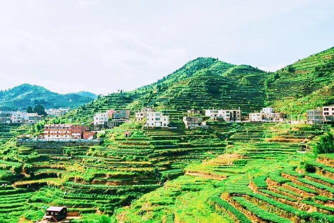 Private Day Tour to the Most Famous Scenic Xiamen Junying Village - Key Points