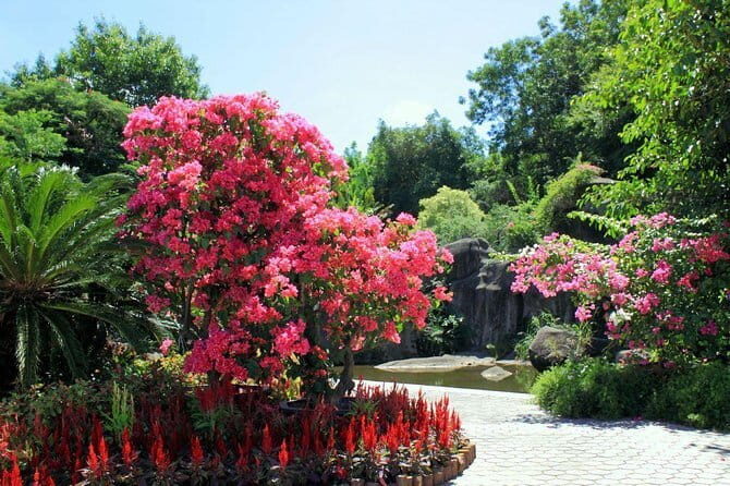 Private Day Tour to the Most Famous Scenic Xiamen Junying Village - Who Will Love This Tour?