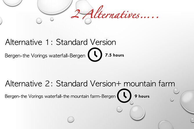 Private day tour to the Vorings Waterfall Norway's most visited - A Detailed Breakdown of the Tour Experience