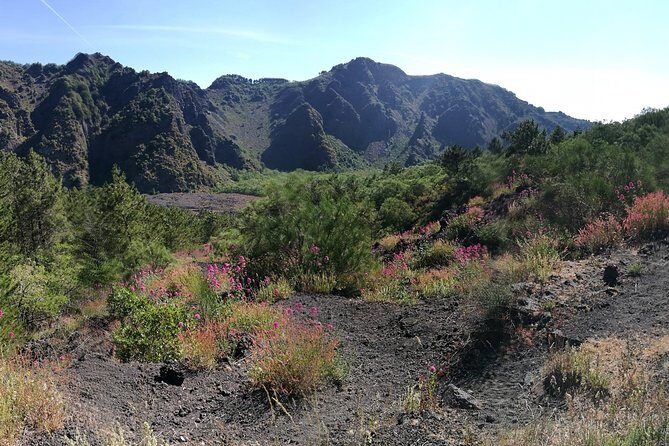 Private Day Tour to Vesuvius, Herculaneum & Pompeii with Pick Up - FAQs