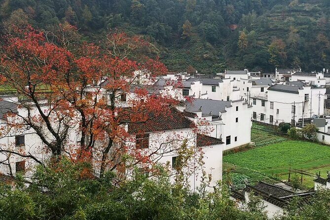 Private Day Tour to Wuyuan Huangling and Likeng villages from Tunxi in Huangshan - Final Thoughts