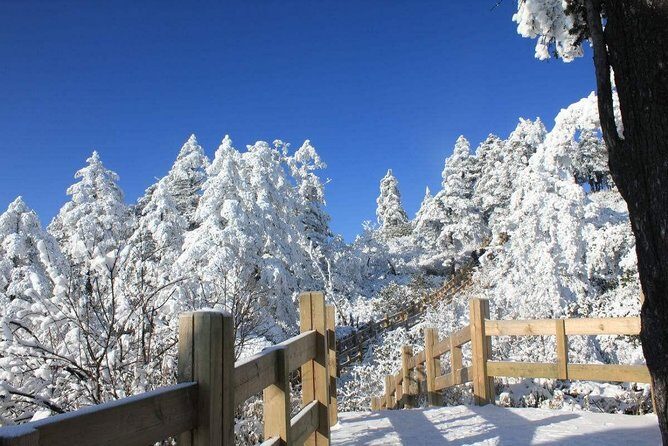 Private Day Tour to Xiling Snow Mountain - Who Would Love This Tour?
