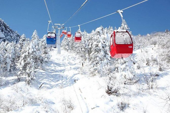 Private Day Tour to Xiling Snow Mountain - Frequently Asked Questions (FAQs)