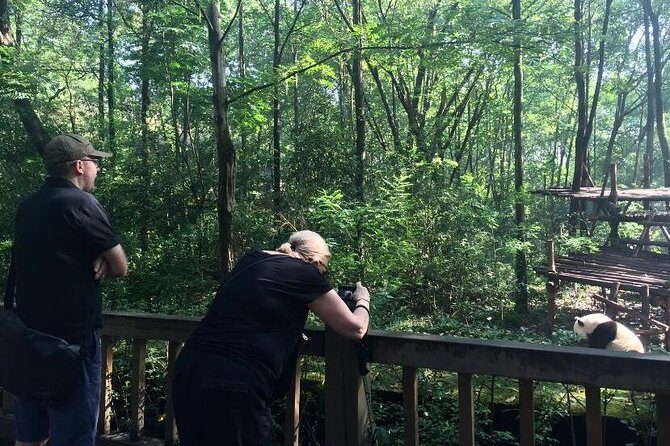 Private Day Tour: Visit Giant Pandas and Discover Shu Culture in Chengdu - Practical Insights for Travelers