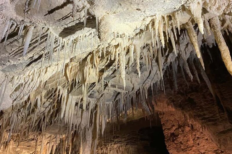 Private Day Tour: Waitomo Glowworms & Hobbiton Movie Set - FAQ