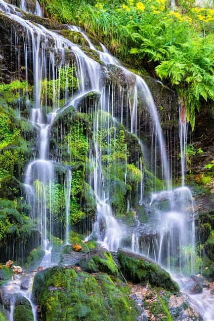 Private day trip from Basel to the Black forest and back - Who Is This Tour Best For?