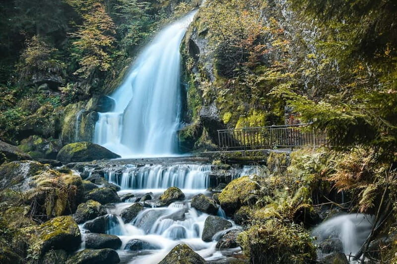 Private day trip from Basel to the Black forest and back - FAQ