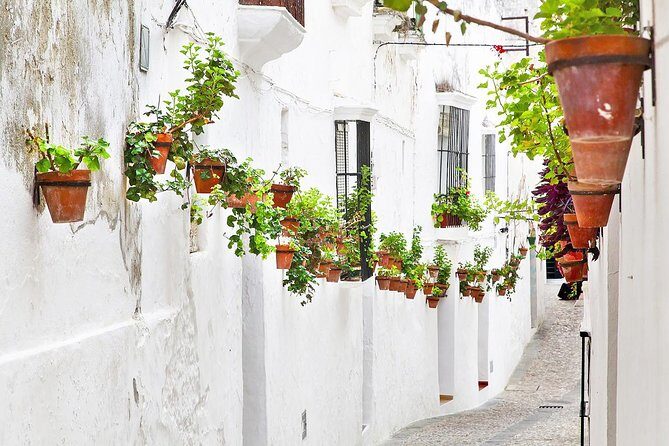 *Private Day Trip* from Cádiz: The White Towns of Andalusia - A Closer Look at the White Towns Tour