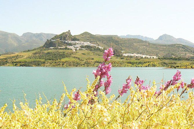 *Private Day Trip* from Cádiz: The White Towns of Andalusia - Who Is This Tour Best For?