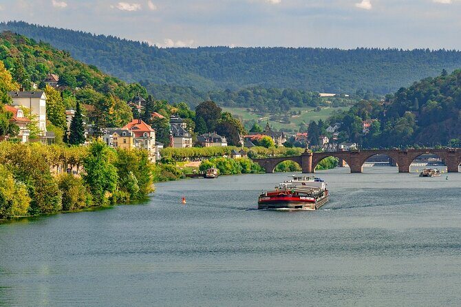 Private day trip: from Frankfurt to Heidelberg and back - Who Should Book This Tour?