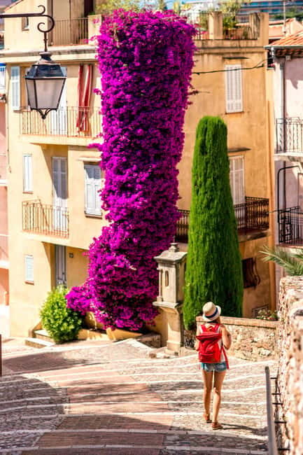 Private day trip from Monaco to the gems of French Riviera - A Close Look at the Itinerary