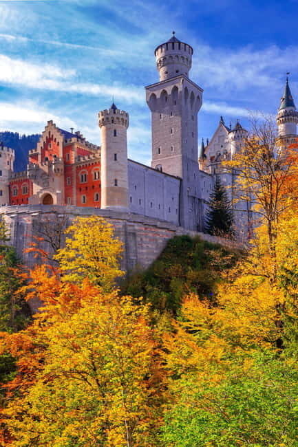 Private day trip from Munich to Neuschwanstein Castle - Why This Tour Offers Great Value