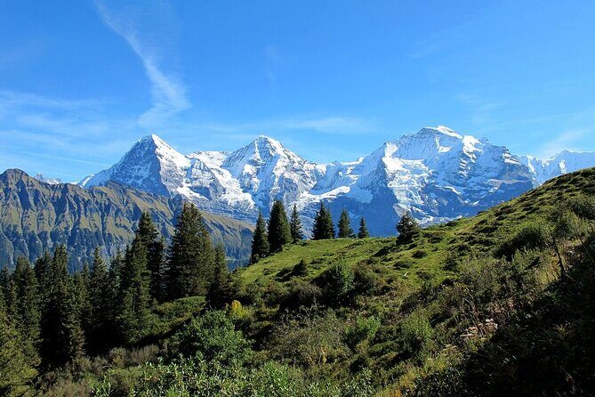 Private day trip from Zurich to Grindelwald, Interlaken and back - Who Is This Tour Best For?