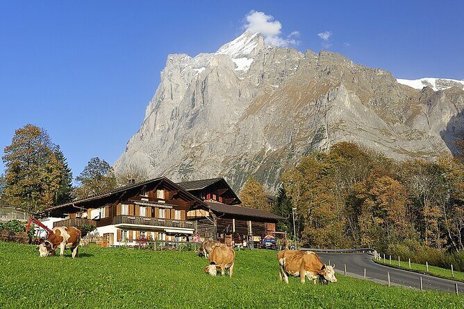Private day trip from Zurich to Grindelwald, Interlaken and back - Final Thoughts