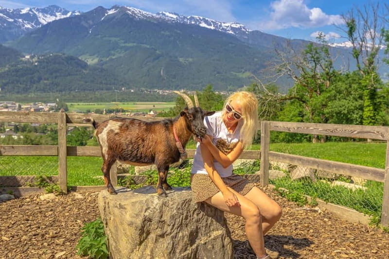 Private day trip from Zurich to Heidiland and Vaduz - In-Depth Look at the Tour Experience