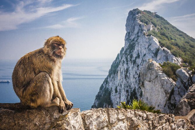 *Private Day Trip* Gibraltar and Vejer from Cádiz - Exploring Gibraltar: A day of stunning views, history, and wild primates