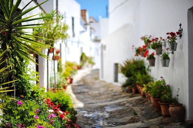 *Private Day Trip* Gibraltar and Vejer from Cádiz - Authentic reviews and insights