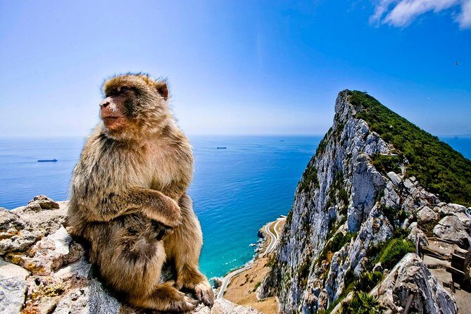 *Private Day Trip* Gibraltar & Bolonia from Cádiz - Key Points