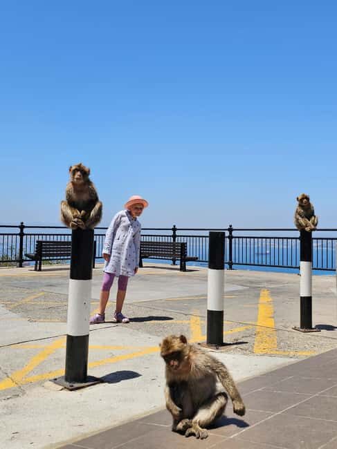 Private Day Trip: Gibraltar & (Tangier) Morocco from Seville - Final Thoughts