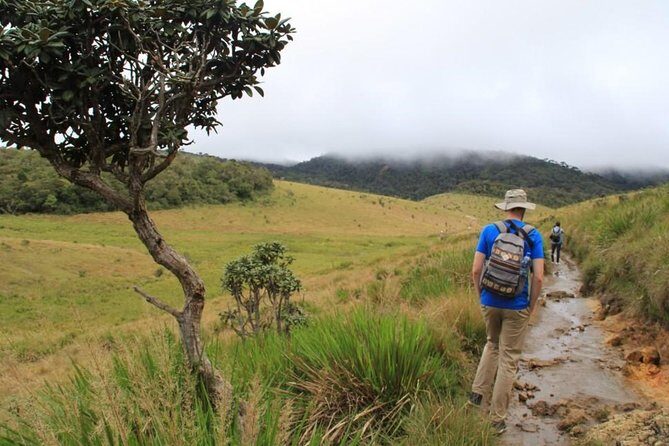 Private Day Trip: Horton Plains and Pedro Tea Factory from Nuwara Eliya - An In-Depth Review of the Horton Plains and Pedro Tea Factory Tour