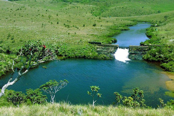 Private Day Trip: Horton Plains and Pedro Tea Factory from Nuwara Eliya - Practicalities and Considerations