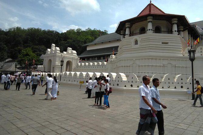Private Day trip Kandy & pinnawala with your selected attractions - Key Points