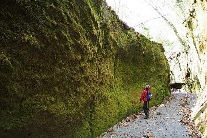 Private Day Trip of Lake Shikotsu and Moss Canyon - Exploring Shikotsuko Visitor Center and Yacho no Mori