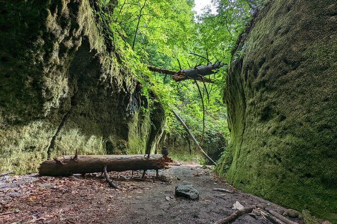Private Day Trip of Lake Shikotsu and Moss Canyon - Who Will Love This Tour?