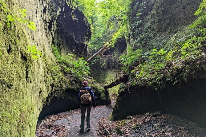 Private Day Trip of Lake Shikotsu and Moss Canyon - The Sum Up: Why This Tour Is a Great Choice