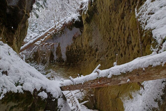 Private Day Trip of Lake Shikotsu and Moss Canyon - FAQ