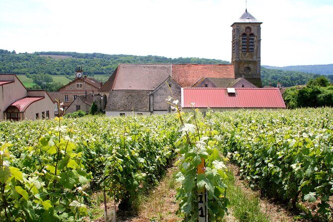 Private Day Trip Paris to Champagne: Lunch+Tastings with Producer - FAQ
