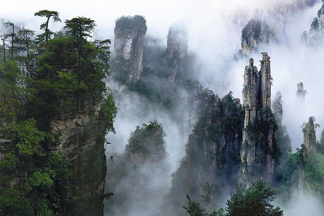 Private Day Trip to Avatar Mountain & Glass Bridge with Lunch - Key Points