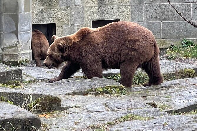 Private day trip to Bern from Geneva - An In-Depth Look at the Bern Private Day Trip