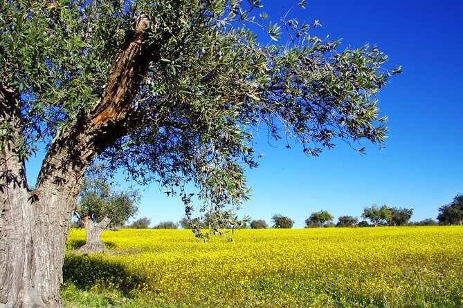 Private Day Trip to Canal,Ancient Corinth,Myceane and Nauplion - FAQ
