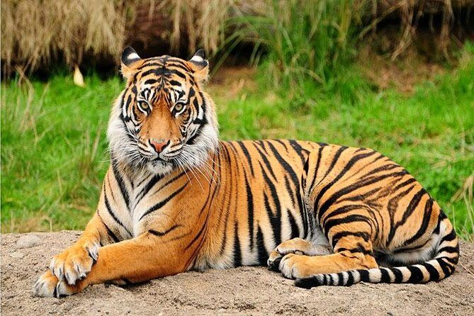 Private Day Trip to Central Zoo at Jawalakhel - FAQ