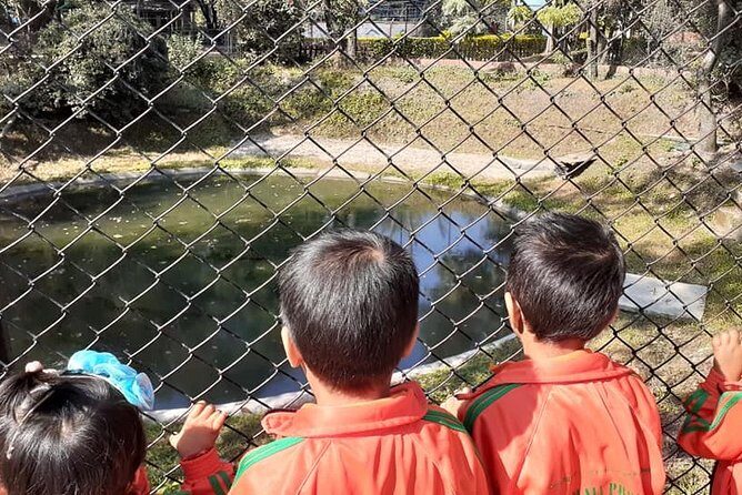 Private Day Trip To Central Zoo At Jawalakhel, Kathmandu - The Journey Begins: Pickup and Transport