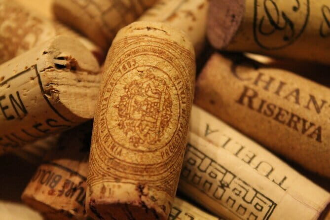 Private Day Trip to Chianti from Florence - A Scenic Journey through the Heart of Tuscany