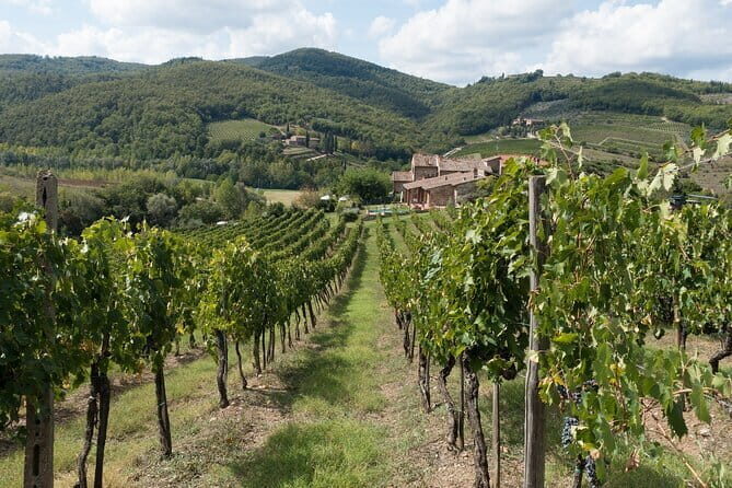 Private Day Trip to Chianti from Florence - Transport and Timing: Why It Matters