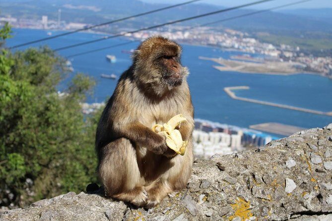 Private Day Trip to Gibraltar from Malaga or Marbella - Final Thoughts