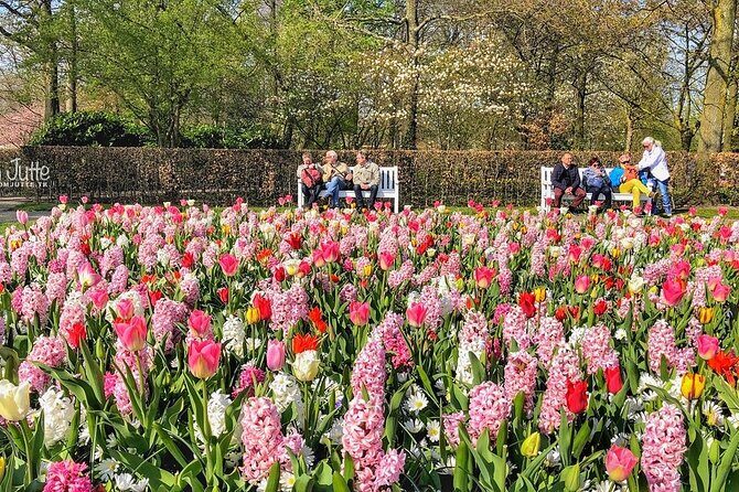 Private Day Trip to Keukenhof Gardens with Entrance Tickets - Key Points
