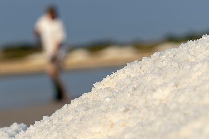 Private Day Trip To Pag Island and Nin Saltworks from Zadar - A Detailed Look at the Tour Experience