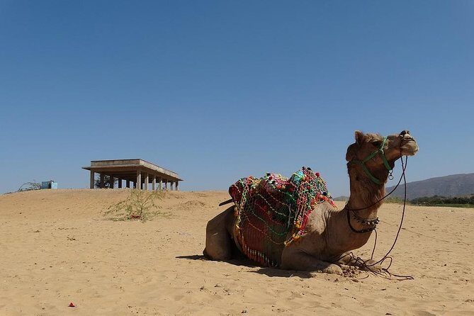 Private day trip to Pushkar from Jaipur - Who Will Love This Tour?