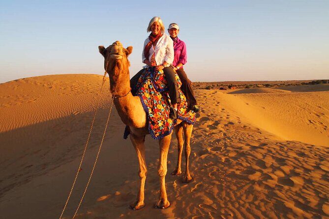 Private Day Trip to Pushkar From Jaipur - Who Should Consider This Tour?