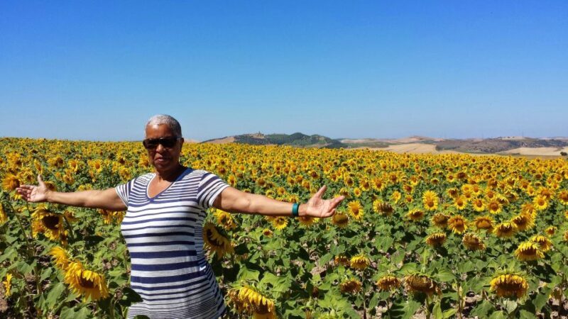 Private Day Trip to Ronda and Malaga from Seville - Exploring the Highlights of the Tour