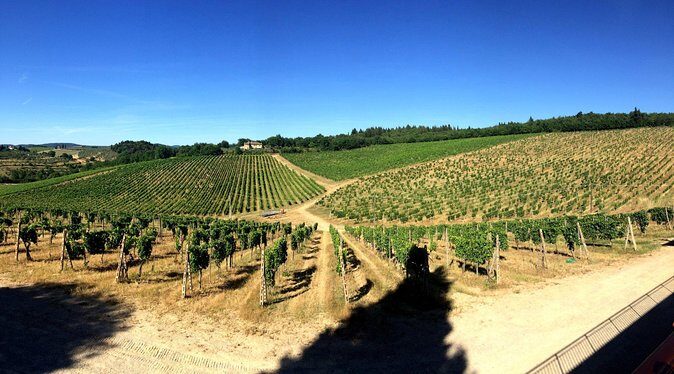 Private Day Trip to Siena and San Gimignano from Rome - The Sum Up: Is This Tour Worth It?