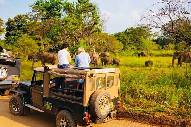 Private Day Trip To Sigiriya Dambulla and Safari From Trincomalee - Key Points