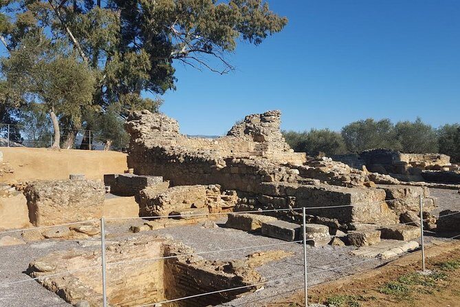 Private Day Trip to Sparta from Kalamata (Price per Group) - Who Will Love This Tour?