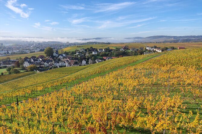 Private day trip to the Romantic Rhine Valley with river cruise and wine tasting - The Sum Up